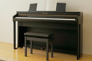 普通钢琴价钱多少 电钢琴几千就能买到（普通钢琴要两万）