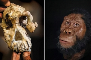 世界上第一个人类是谁 露西（320万年历史的人类化石）