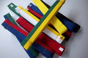 跆拳道级别及腰带颜色 分为十个等级（一级以上都是黑带）