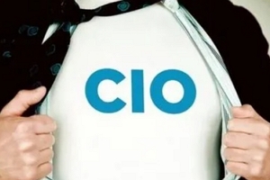cio是什么职位 首席信息官（负责公司信息和战略决策）