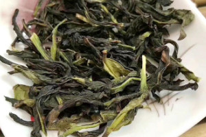 鸭屎香是什么茶是绿茶吗多少钱，是乌龙茶/400元一斤