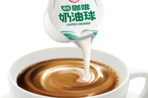 奶精球是什么东西，咖啡伴侣/含有反式脂肪酸(增加口感)