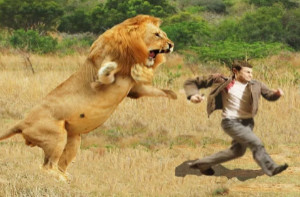 什么动物吃狮子，鬣狗/阿根廷巨鹰/鳄鱼是极其强大的对手