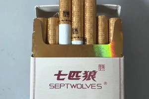 七匹狼香烟价格表图片大全，完整价格一览(厦门26元/包)