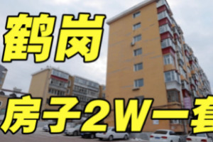 鹤岗房价多少钱一平，郊区最低350元/平(均价3000元/平)