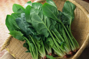 痛风必吃的三种蔬菜，菠菜/芹菜/萝卜等低嘌呤食物降尿酸