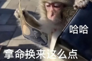 吗喽是什么意思网络用语，指猴子/多用于年轻人自嘲和调侃